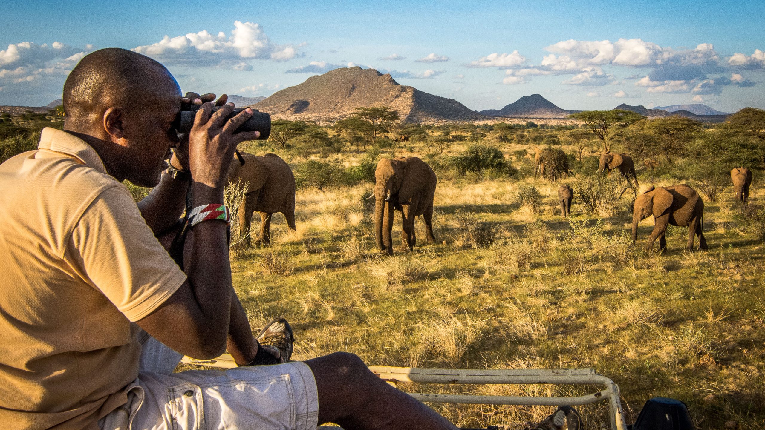 save the elephants, elephant herds, elephants, poaching, ivory poaching, say no to ivory, STE, wildlife conservation, wildlife, elephant tusks, Samburu National Reserve, Kenya, tracking, elephant tracking