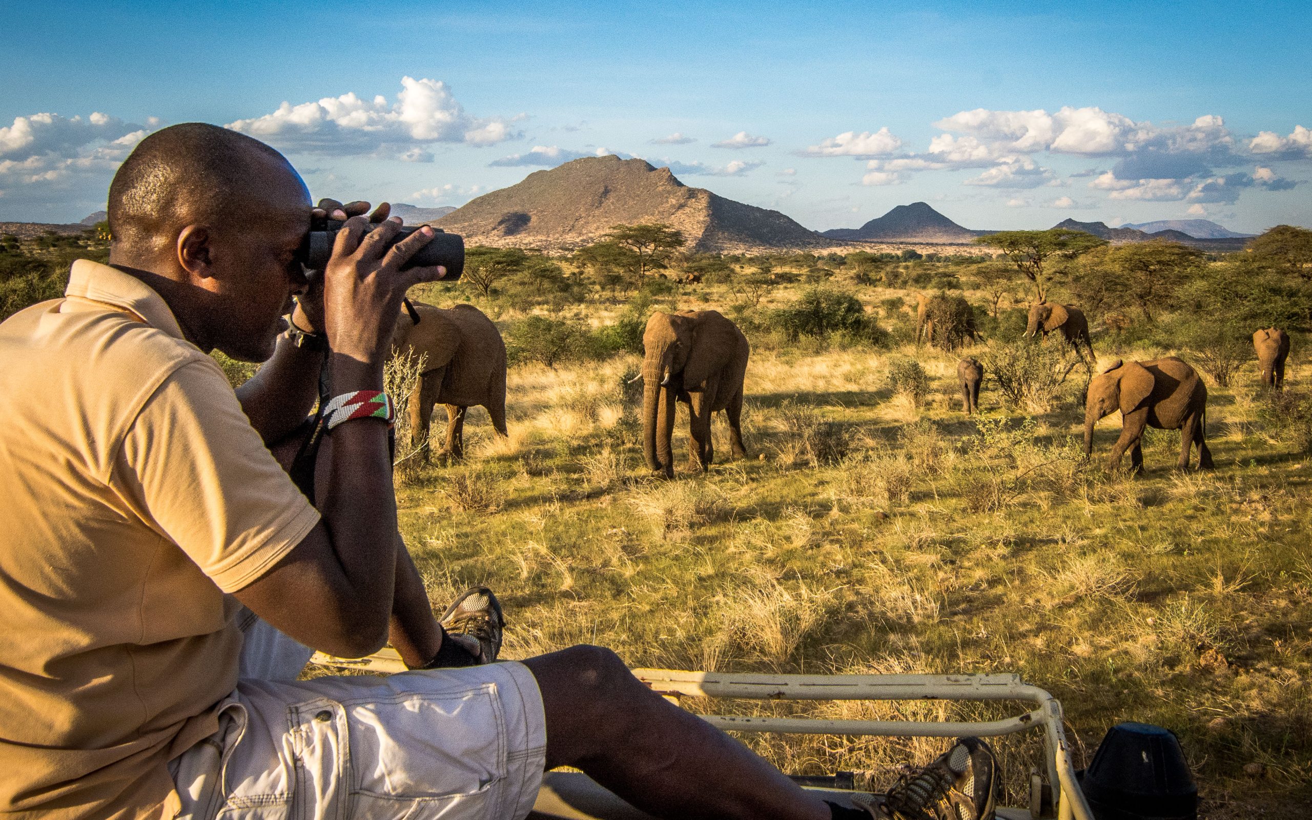 save the elephants, elephant herds, elephants, poaching, ivory poaching, say no to ivory, STE, wildlife conservation, wildlife, elephant tusks, Samburu National Reserve, Kenya, tracking, elephant tracking