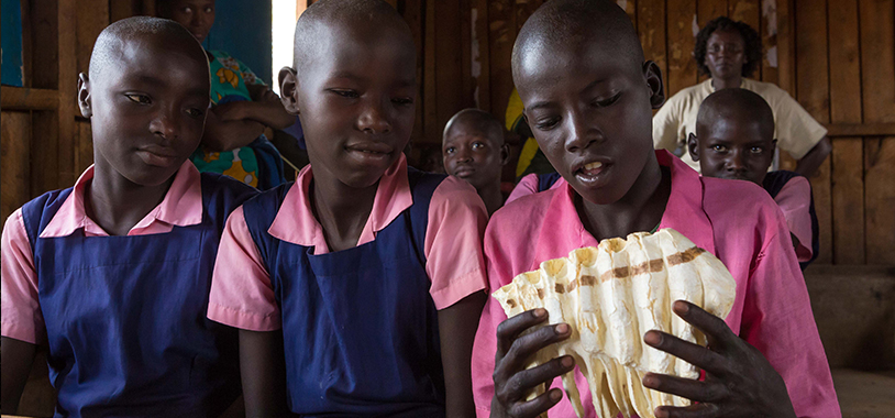 Students from Chumviere studying a model of elephant teeth