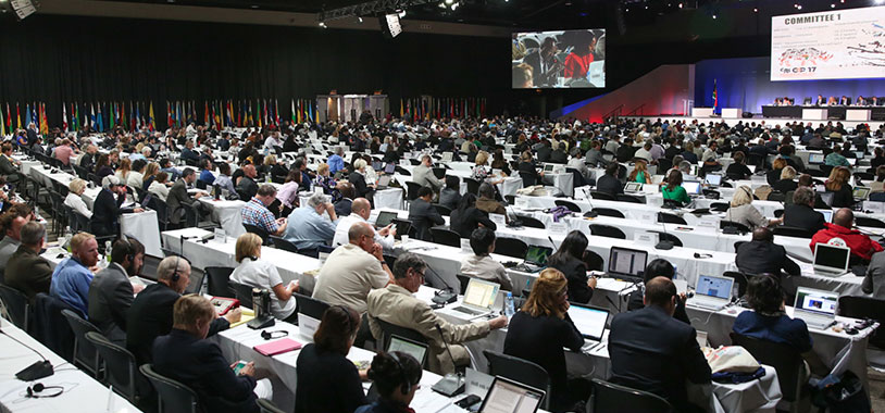 View of the plenary during Committee I @IISD/ENB