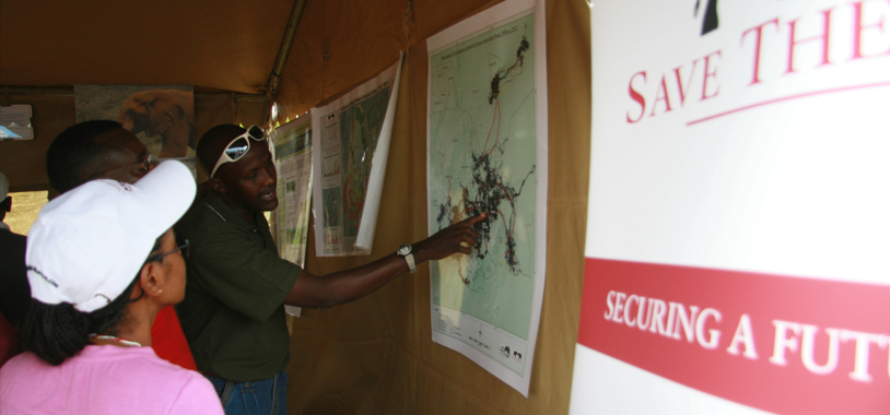David explains how we monitor illegal killing of elephants