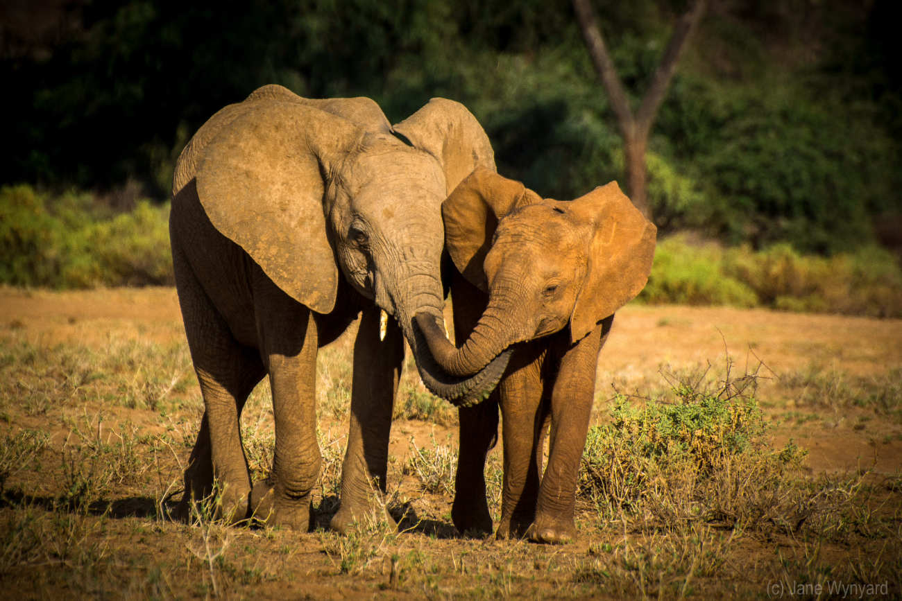 Discover more about our corporate partnerships...