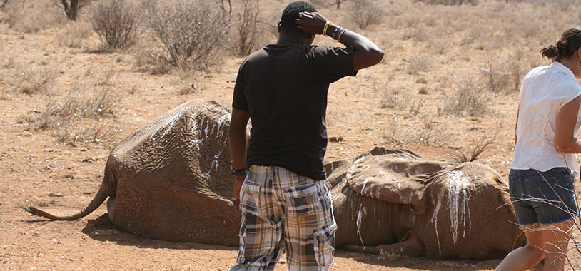 Jerenimo and Shifra approach Butterfly’s week-old carcass