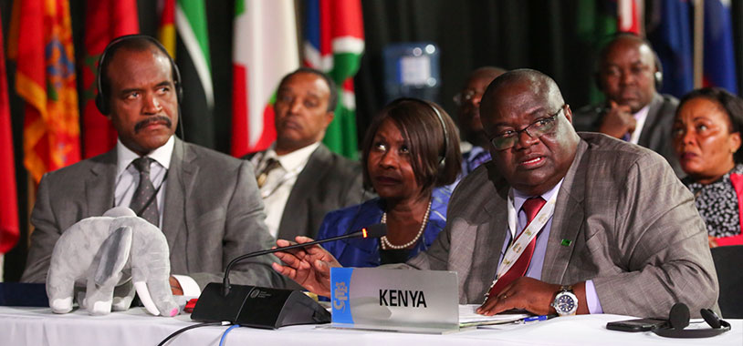 L-R KWS Director General Kitili Mbithi, Kenya Cabinet Secretary for Environment Prof. Judi Wakhungu, and KWS Deputy Director Species Conservation and Management, Patrick Omondi at the Conference. @IISD/ENB