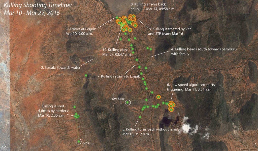 Timeline showing Kulling's movements from when she was shot