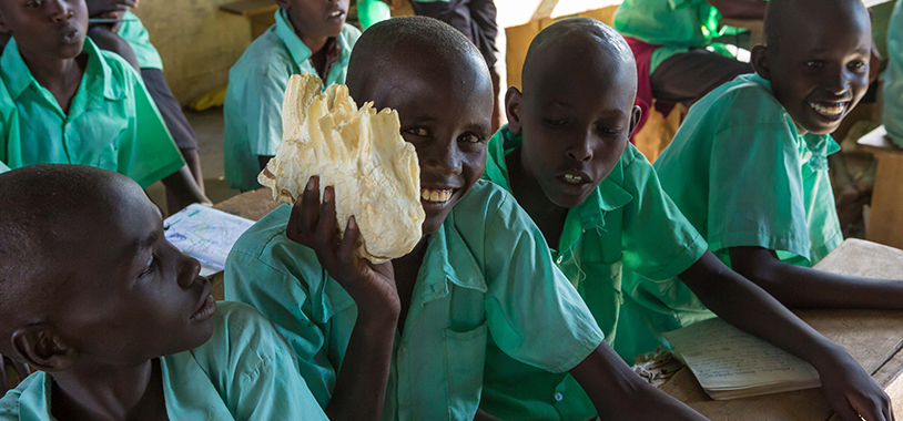 Students from Lorubae studying a model of elephant teeth