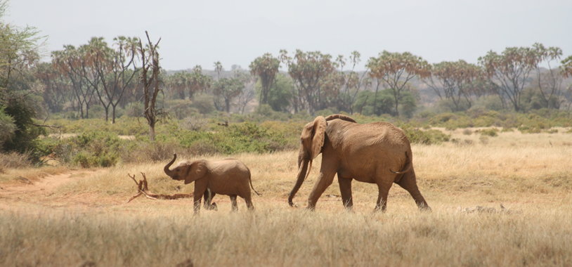 M53.95B12 (left) and Haumea (right)