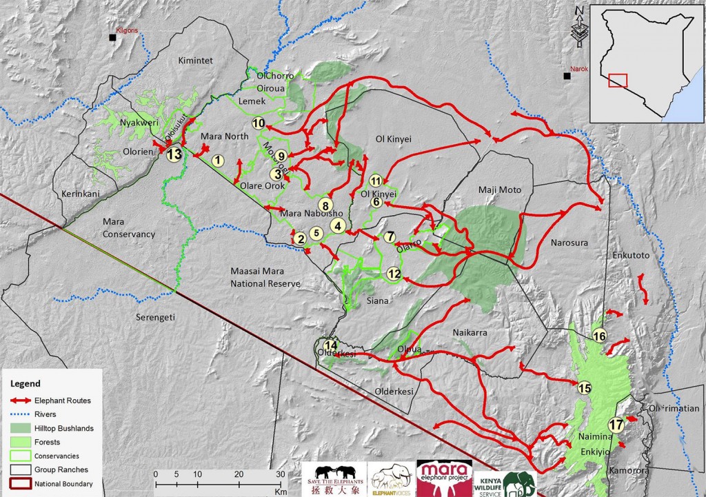 Some priority elephant routes that take into considera2on data from the satellite elephant collars, elephant signs and local knowledge on vital resources for elephants including forage, water, minerals and security
