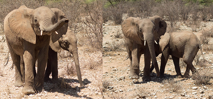 Shaba playing with her younger sister
