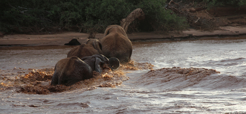 Crossing the river