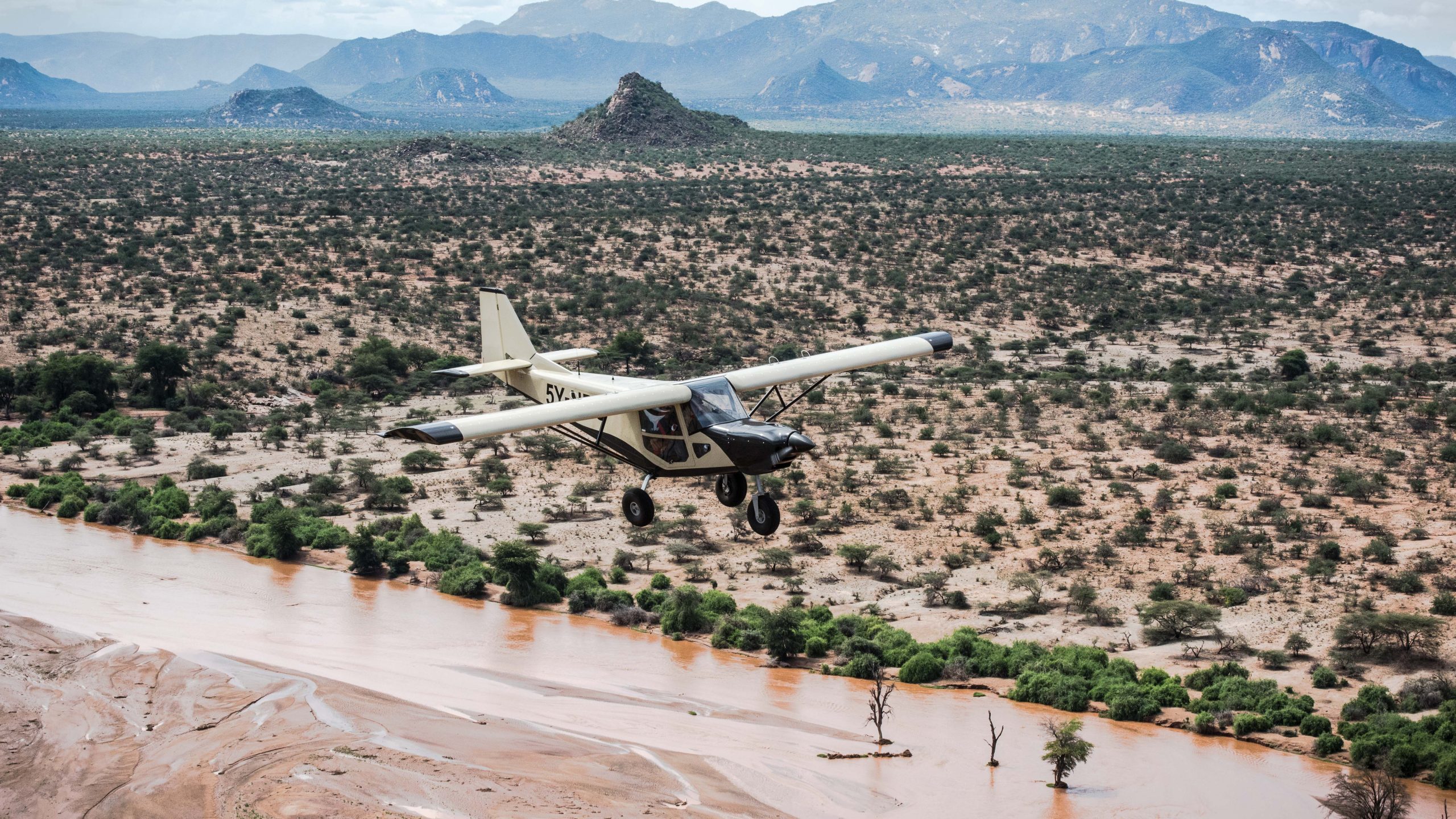 save the elephants, elephant, elephants are important, why elephants are important, STE, wildlife conservation, wildlife, elephant tusks, Samburu National Reserve, Kenya, elephant herd, air surveillance, surveillance, airplane, STE airplane