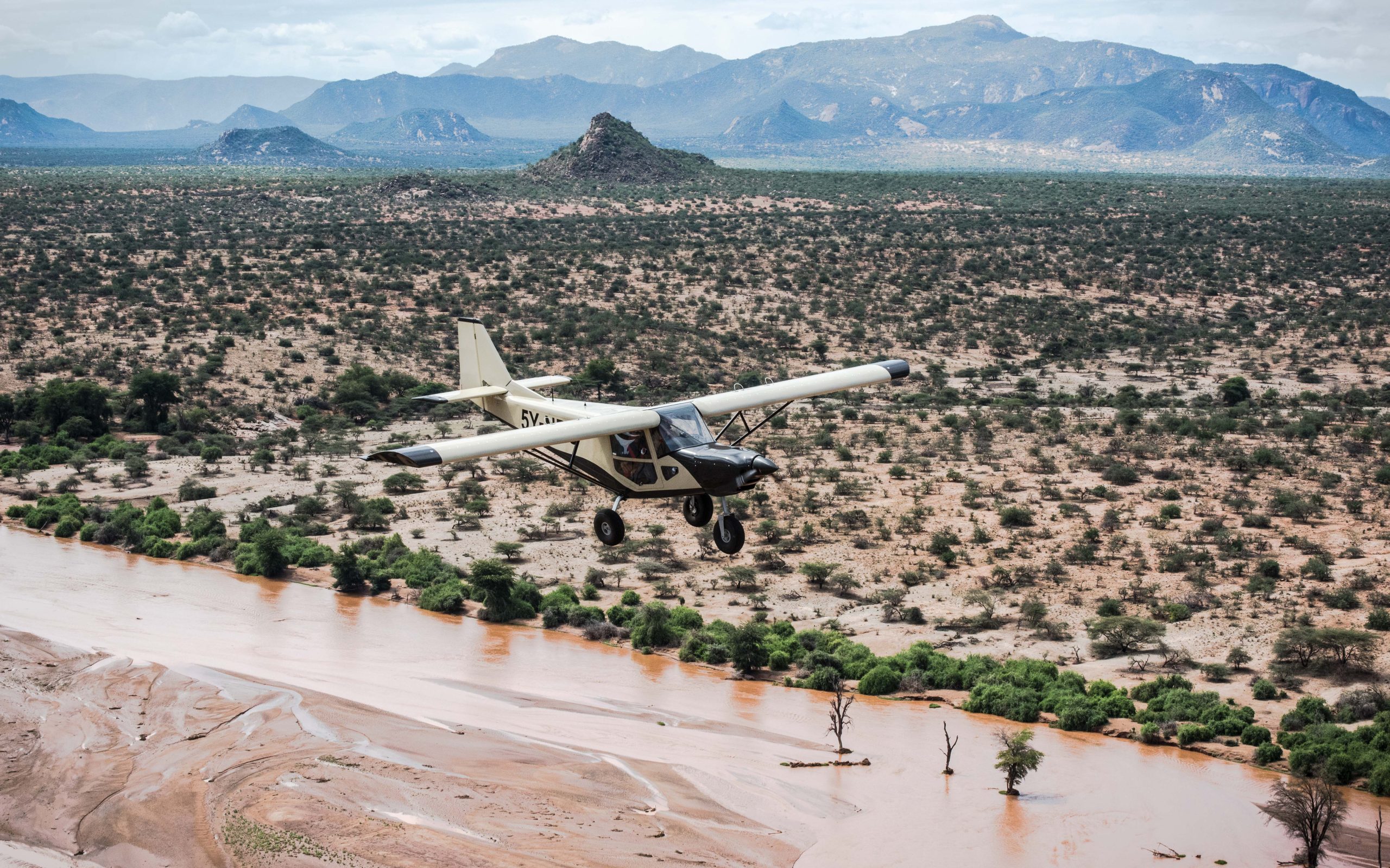 save the elephants, elephant, elephants are important, why elephants are important, STE, wildlife conservation, wildlife, elephant tusks, Samburu National Reserve, Kenya, elephant herd, air surveillance, surveillance, airplane, STE airplane