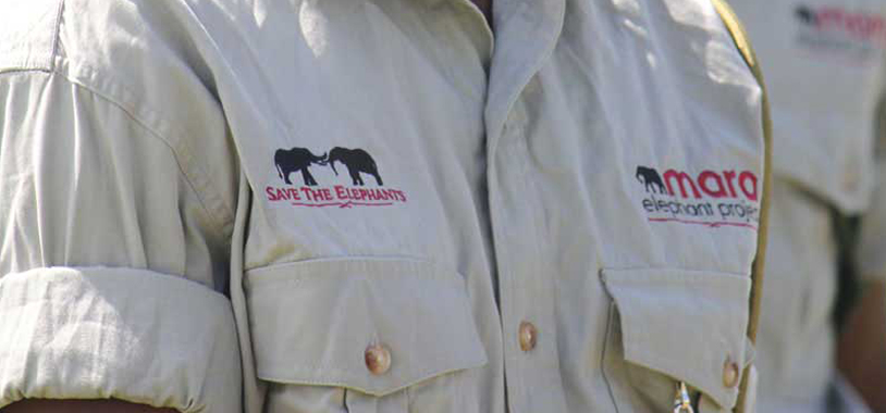 save the elephants, elephant, elephants are important, why elephants are important, STE, wildlife conservation, wildlife, elephant tusks, Samburu National Reserve, Kenya, mara elephant project, project, masai mara game reserve, masai mara national reserve, masai mara, maasai mara national reserve, maasai mara game reserve, maasai mara