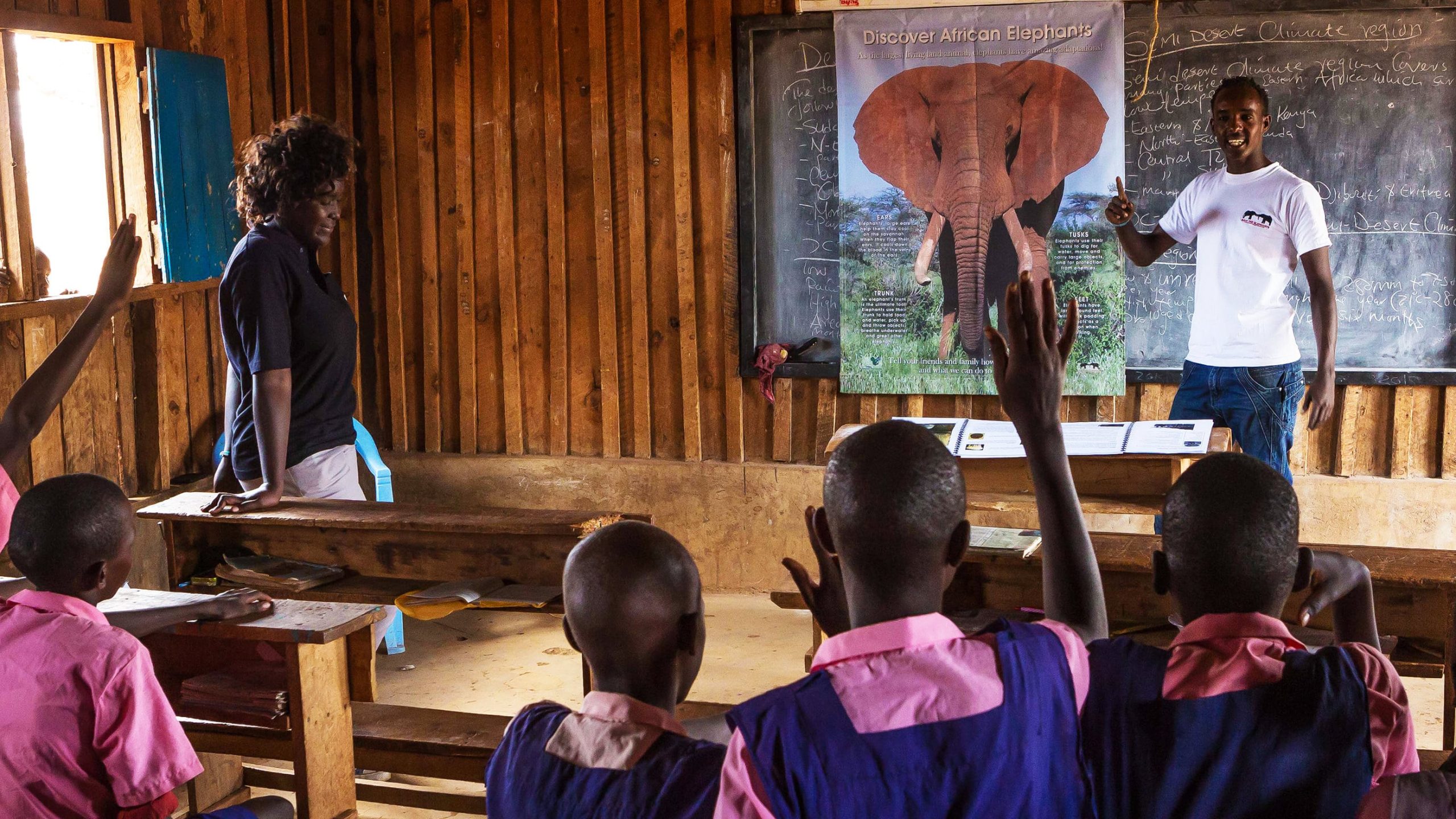 save the elephants, elephant, elephants are important, why elephants are important, STE, wildlife conservation, wildlife, elephant tusks, Samburu National Reserve, Kenya, get involved, donate, internship, spread the word, donations