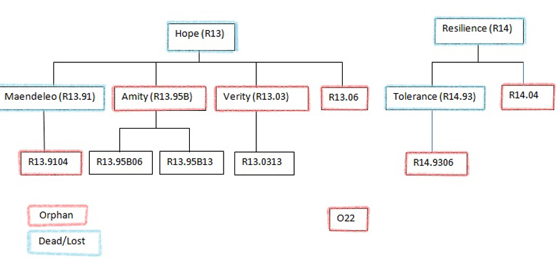 The Virtues family tree